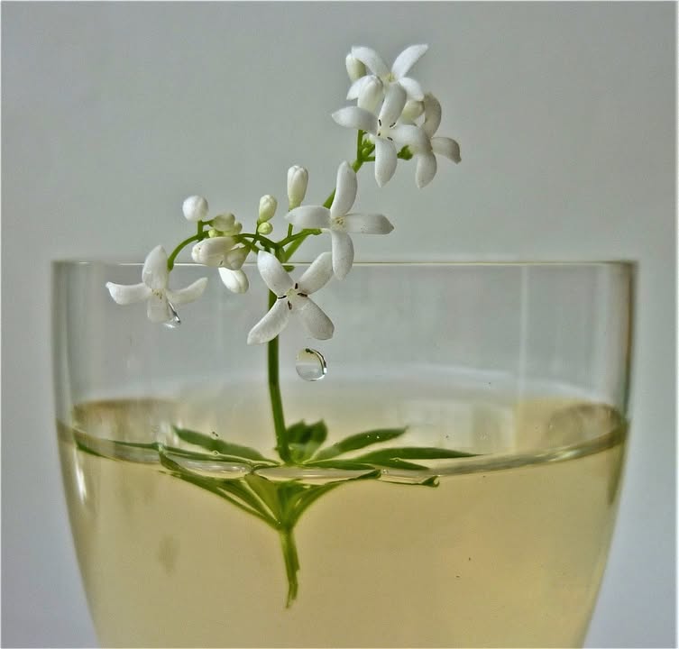 Aromaterapija.info